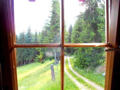 Bild 25 aus Almhütte - Bei der Gose