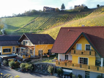 Bild 46 aus  Weingut Stoff