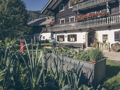 Bild 42 aus  Kinderbauernhof Scharrerhof