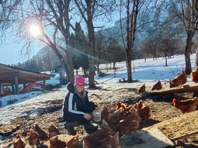 Bild 66 aus  Bauernhof Sonnenhuab