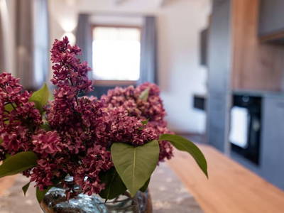 Bild 141 aus  Ginzhof