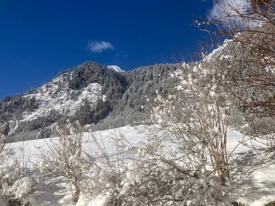 Bild 159 aus  Alfaierhof & Bergheimat