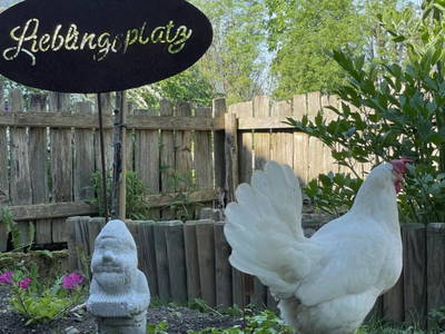 Bild 48 aus  Oberhaslachhof