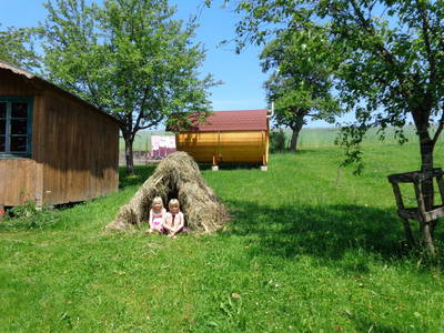 Bild 25 aus Biohof Stadler