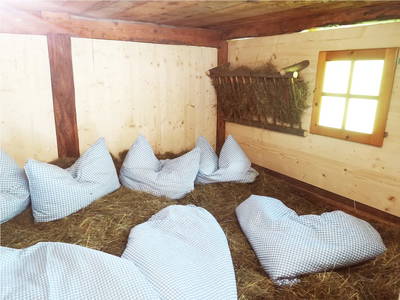 Bild 26 aus  Ausserwieserhof Kaser