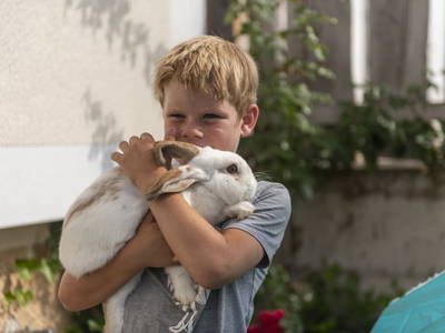 Bild 138 aus  Hartlhof Urlaub am Baby- und Kinderbauernhof