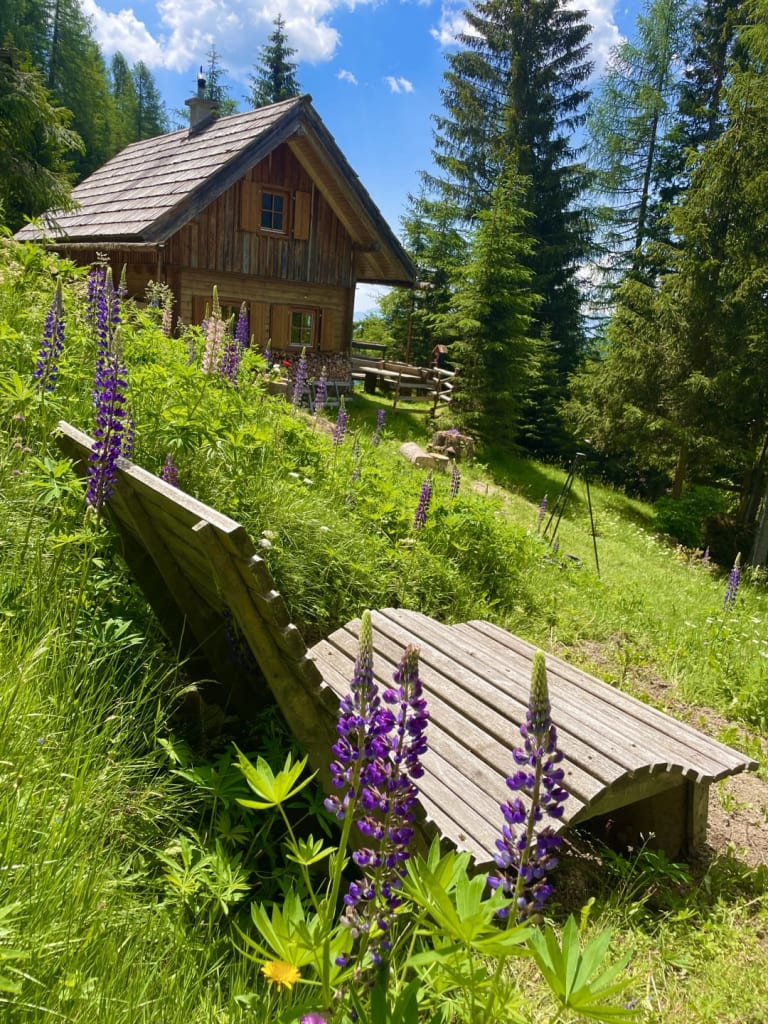 Königsreiner  Hütte