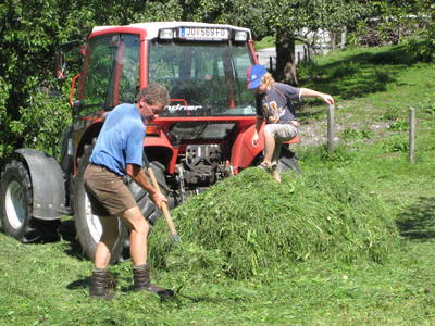 Bild 72 aus  Taxengut