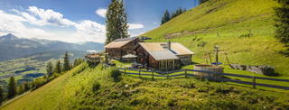 Distelkopfalm aus Sankt Veit im Pongau