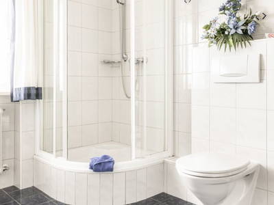 Bild 45 aus  Santnergut