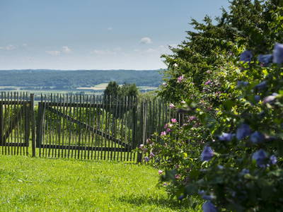 Bild 38 aus  Ferienhäuser im Weingarten