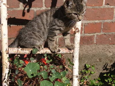 Bild 25 aus  Hof Flottwedel