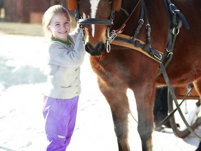 Bild 16 aus  Springerhof