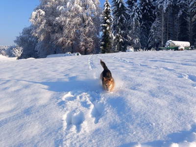 Bild 69 aus  Hofgut Schleinsee  - idyllisch am eigenen See