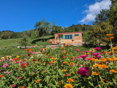 tiny house "Hoizwurm"