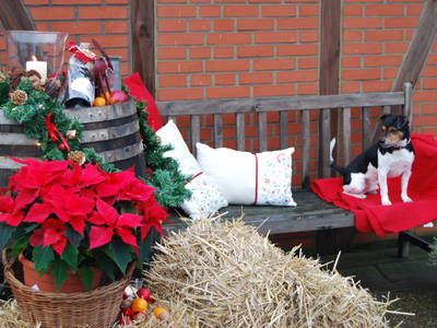 Bild 83 aus  Lindenhof