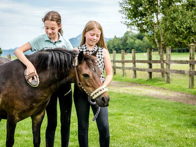 Bild 16 aus  LandSelection Hanznhof