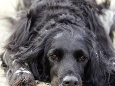 Bild 22 aus  LandSelection Traberhof