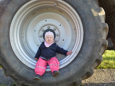 Bild 9 aus  Hof in de Wisch - Natur-Erlebnishof für Neugierige