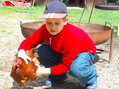 Bild 13 aus  Ferienhof Schmauß