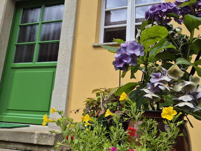 Bild 5 aus  Hanselhof 26