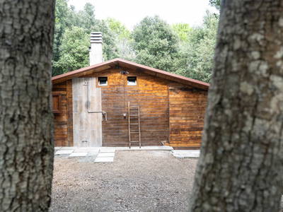 Bild 13 aus  Wunderschönes Haus im Wald am Meer in der Toskana