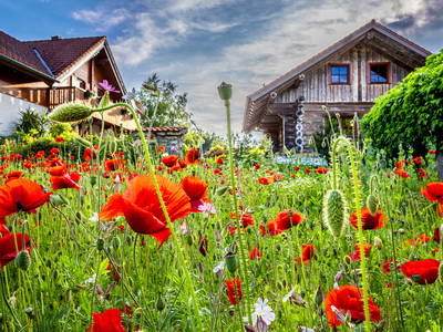 Bild 23 aus  Heumanns Blockhäuser am Wald