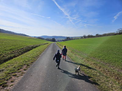 Bild 30 aus  Steigerwälder Zwergenhof ihr kleiner Kinder-Bauernhof für Familien- und Gruppenurlaube