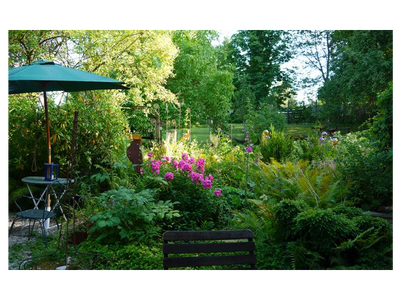 Bild 11 aus  Grashöfle