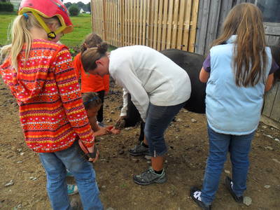 Bild 6 aus  Ferienhof Jansen