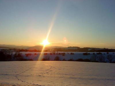 Bild 36 aus  Gerwenshof