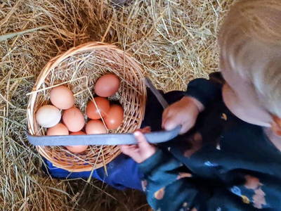 Bild 22 aus  Ferienhof Hasseler