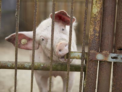 Na Du? Wann kommst Du?