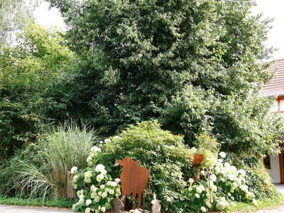 Bild 9 aus  Gripshof