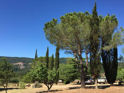 Bild 15 aus  Podere San Giuseppe - altes Bauernhaus mit 3 Wohnungen, Hunde willkommen