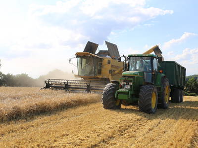 Bild 10 aus  Hof Schlossblick  " der etwas andere Bauernhof "