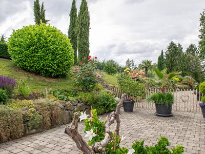 Bild 31 aus  Obst- und Ferienhof Gomeringer