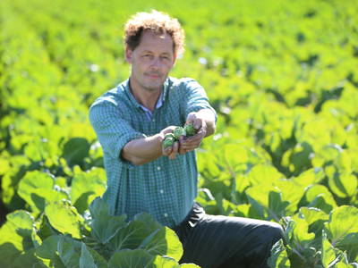 Bild 30 aus  Nordlichter