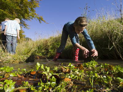 Bild 13 aus  Hof Heite