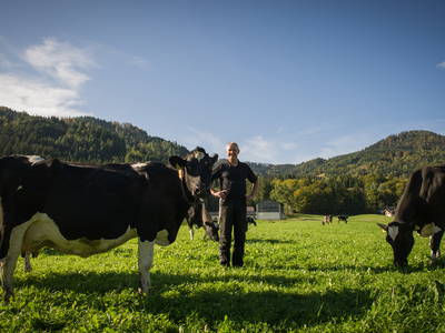 Bild 8 aus  Haus Jakober