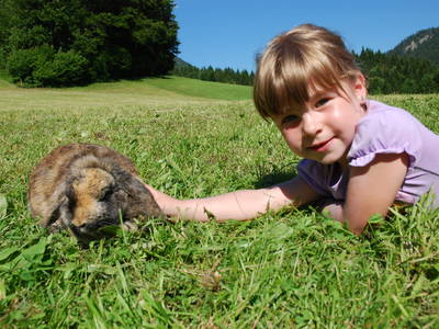 Bild 16 aus  Masererhof - Ferienbauernhof im Chiemgau