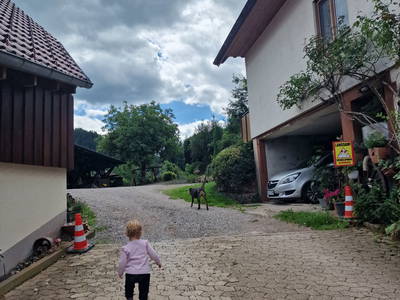 Bild 57 aus  Langenhof im Schwarzwald bei Oppenau