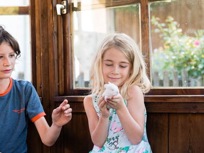 Bild 13 aus  LandSelection Stadler-Hof