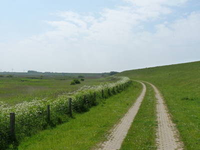 Bild 16 aus  Harder Urlaubsdomizile