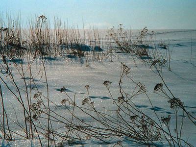 Bild 17 aus  Gästehaus BärenHof