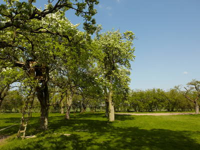 Bild 13 aus  Gutshaus Lexow