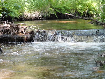 Der Bach "Lehrde" der dem Ort seinen Namen gab