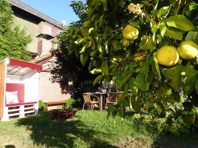 Bild 40 aus  Ferienhof Wolschendorf