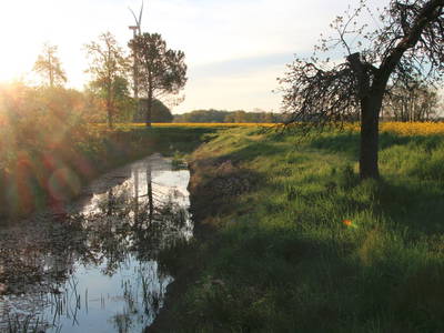 Bild 10 aus  Hof Schulze Harling