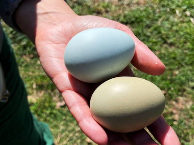 Bild 12 aus  Rifugio Seremus